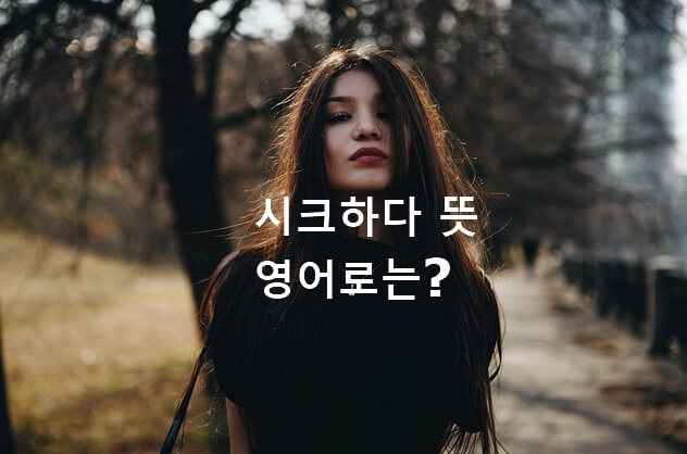 시크하다 뜻