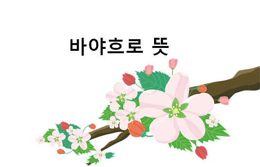바야흐로 뜻