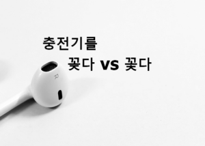 꽂다 꽃다 맞춤법