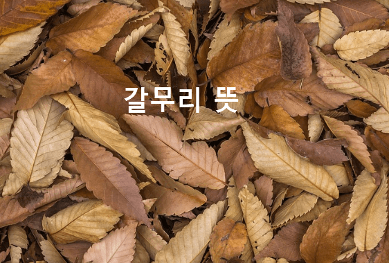 갈무리