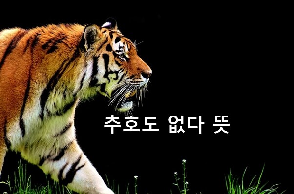 추호도 없다 뜻