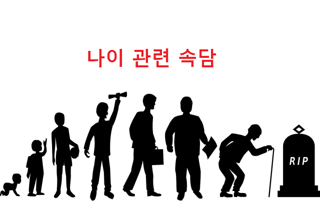 나이 관련 속담