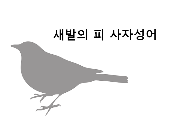 새발의 피 사자성어