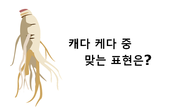 캐다 케다