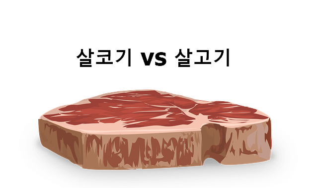 살코기 살고기