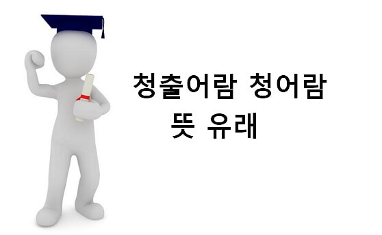 청출어람 청어람