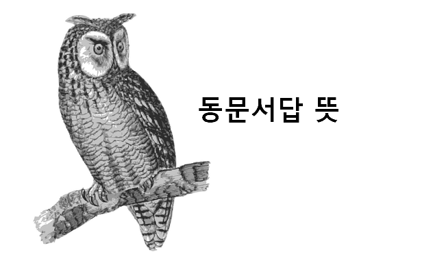 동문서답 뜻