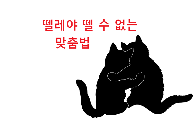 뗄레야 뗄 수 없는 맞춤법