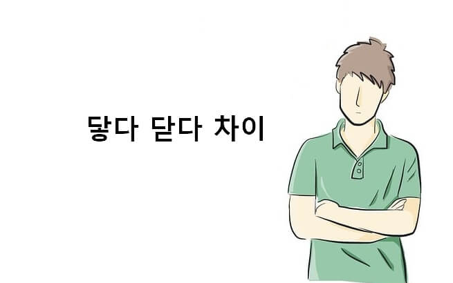 닿다 닫다