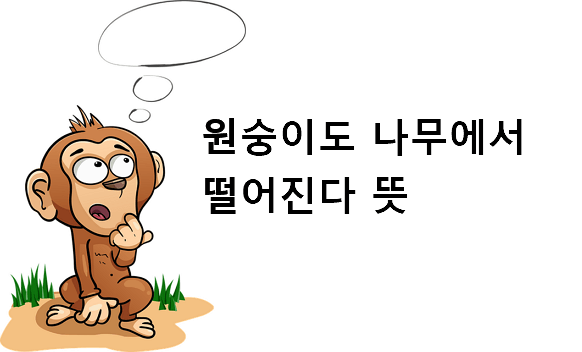 원숭이도 나무에서 떨어진다 뜻