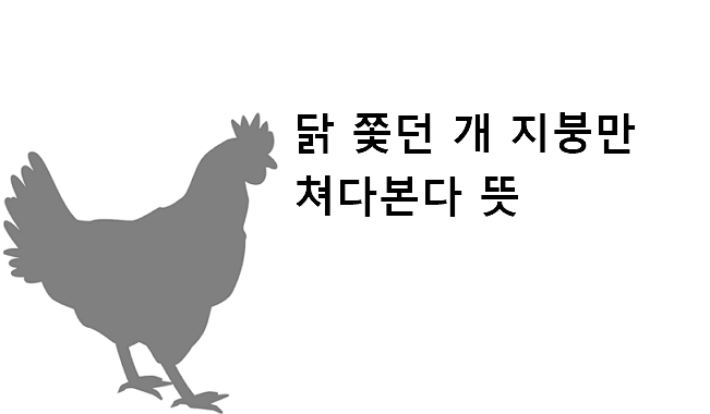 닭 쫓던 개 지붕 쳐다본다 뜻