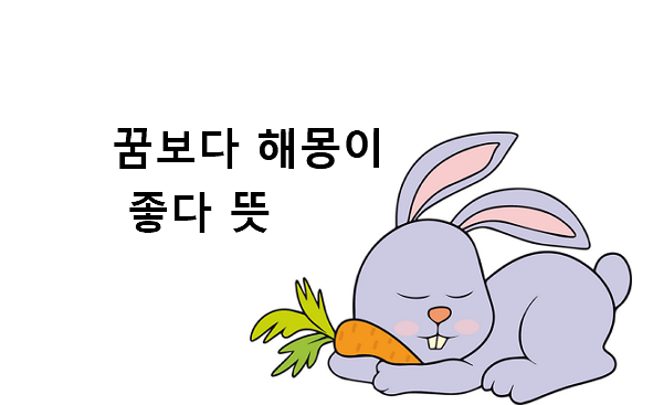 꿈보다 해몽이 좋다 뜻