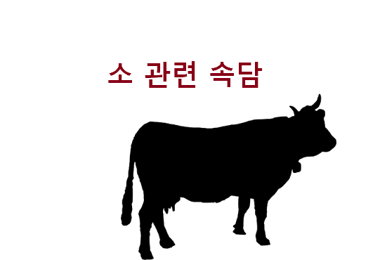 소 관련 속담