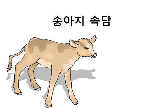 송아지 관련 속담