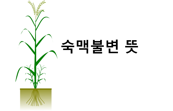 숙맥불변 뜻