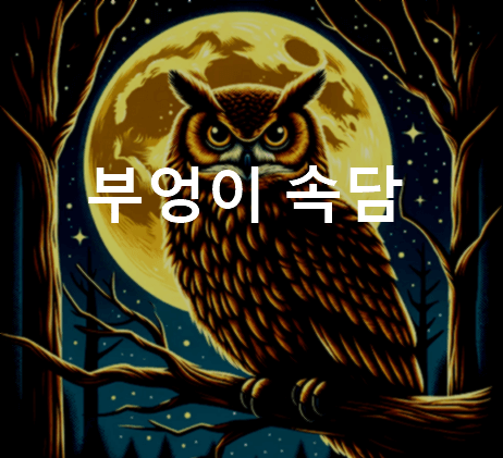부엉이 속담