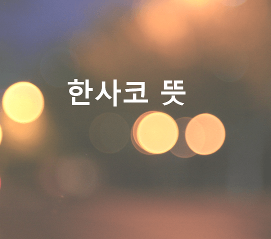 한사코 뜻