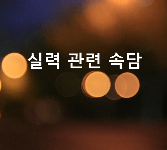 실력 관련 속담