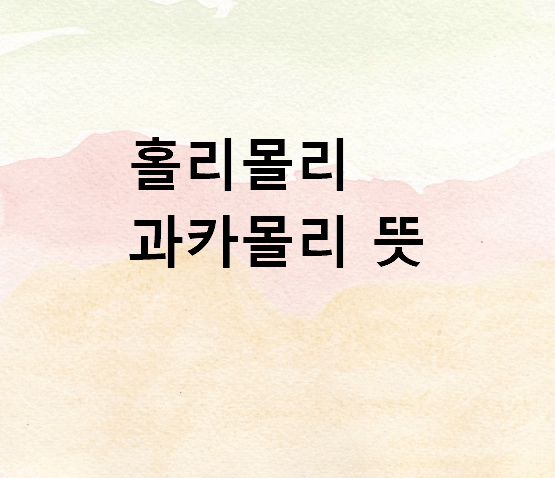 홀리몰리 과카몰리 뜻