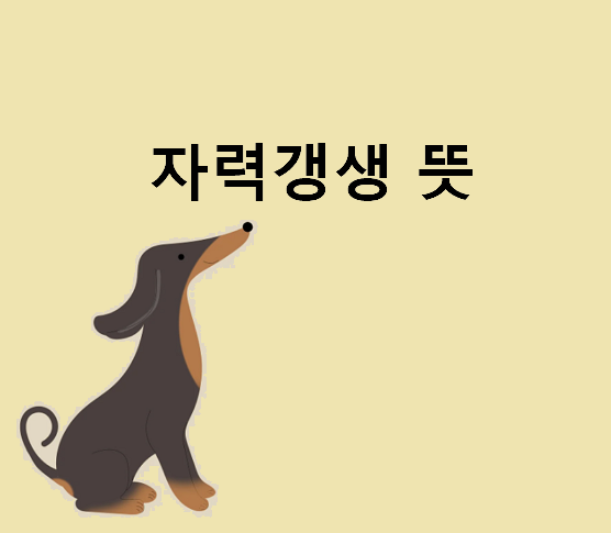 자력갱생 뜻