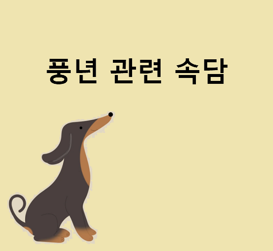 풍년 관련 속담