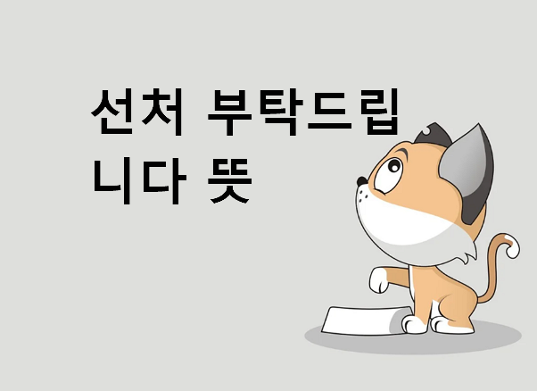 선처 부탁드립니다 뜻
