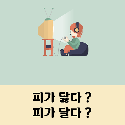 피가 닳다 피가 달다 맞춤법