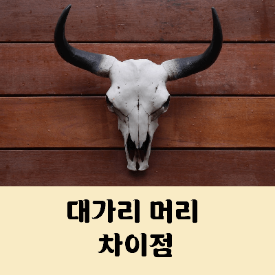 대가리와 머리의 차이점