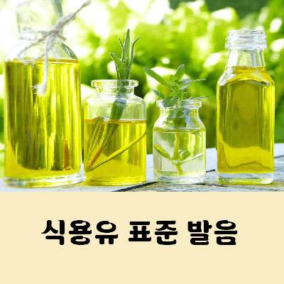 식용유 발음