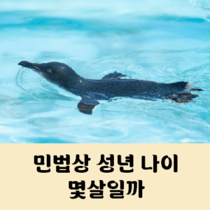민법상 성년나이