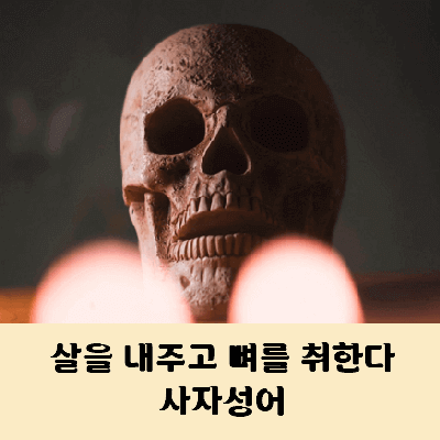 살을 내주고 뼈를 취한다 사자성어