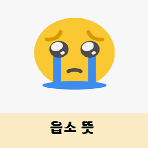 읍소 뜻