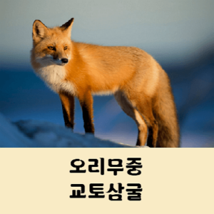 오리무중 교토삼굴 뜻
