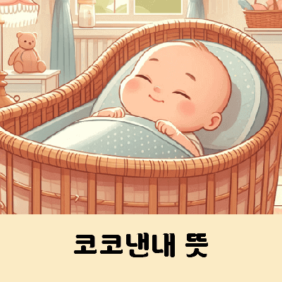 코코낸내 뜻