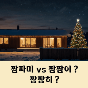 짬짜미 짬짬이 짬짬히 차이