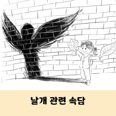 날개 관련 속담