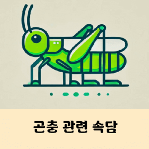 곤충 관련 속담