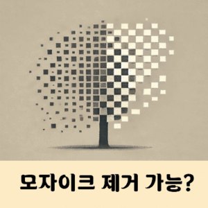 모자이크 제거 불가능일까
