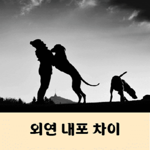 외연 내포 차이