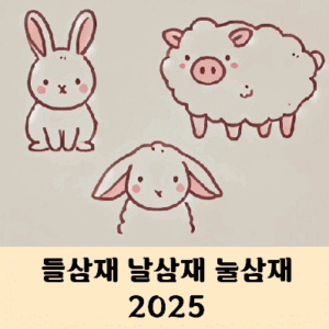 들삼재 날삼재 눌삼재 2025 삼재띠 9년 12년 주기
