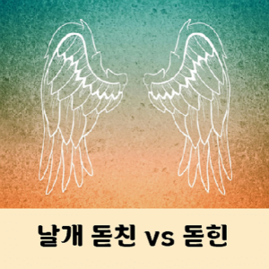 날개 돋친 돋힌 듯 맞춤법 띄어쓰기