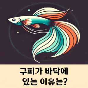 구피가 바닥에 가만히 있는 이유