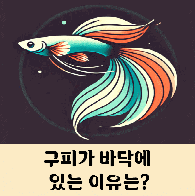 구피가 바닥에 가만히 있는 이유
