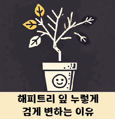 해피트리 잎이 누렇게 검게 변하는 이유