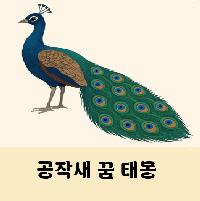 공작새꿈